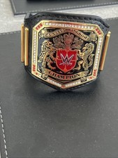 Wwe championship mini for sale  BENFLEET