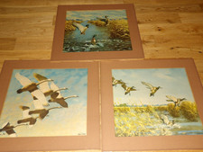 mallards print for sale  Corryton