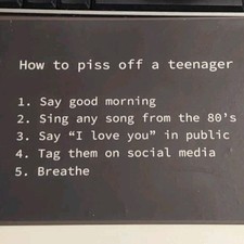 Schild teenager spruch gebraucht kaufen  Deutschland
