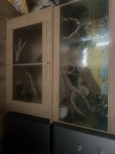 Wood beech chips for sale  STOCKPORT