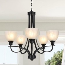 Light farmhouse chandelier for sale  Seymour