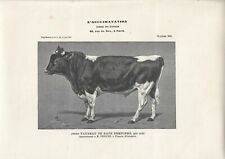 Stampa antica giovane usato  Lecco