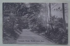 Old postcard kewstoke for sale  BOURNEMOUTH