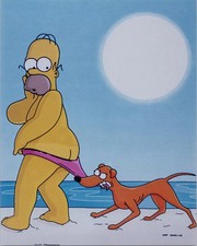 Simpsons series 4x6 for sale  USA