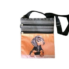 Cute dachshund small for sale  STOKE-ON-TRENT