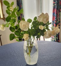 Grand beau vase d'occasion  Château-Renard