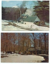 sap maple sugar for sale sap maple sugar for sale North Haven