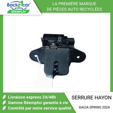 Serrure hayon dacia d'occasion  Saint-Quentin