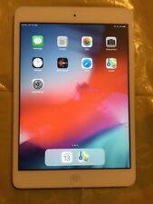 Apple ipad mini usato  Castelnuovo di Garfagnana
