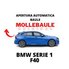 Mollebaule kit molle usato  Mira
