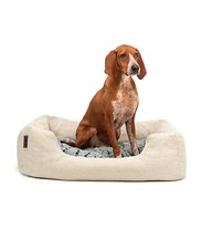 Ware lionto hundebett gebraucht kaufen  Kleve