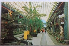 Florida clearwater kapok d'occasion  Expédié en Belgium