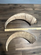 Nice large set for sale  Broomfield