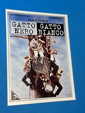 gatto nero usato  Bari
