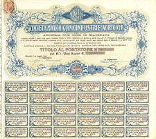 Certificato azionario marchigi usato  Verbania
