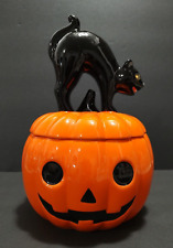 Halloween jack lantern for sale  Paisley