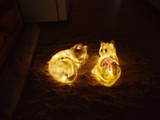 Katzen selbstgemachter beleuch gebraucht kaufen  Rösrath