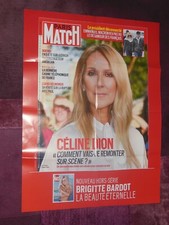 Celine dion affiche d'occasion  Yerres