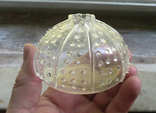 Juliska free blown for sale  Hillsboro