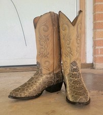 Nocona diamondback rattlesnake for sale  Hearne