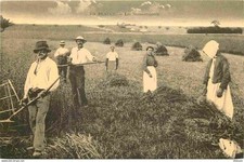 Postcard reproduction agricult d'occasion  Expédié en Belgium