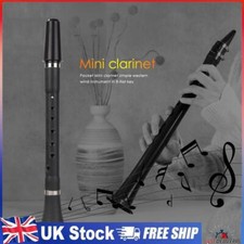 Clarinet flat professional for sale  UK