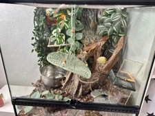 Terrarium 63x60x45 incl gebraucht kaufen  Braunschweig