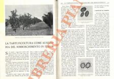 Puecher passavalli luigi usato  Italia
