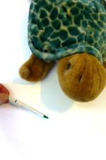 Quality turtle tortoise for sale  COULSDON
