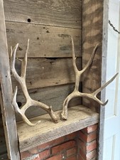 Neat looking set for sale  Show Low