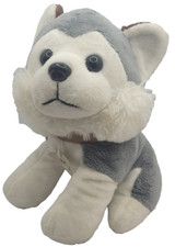 Ice siberian husky for sale  FLEETWOOD