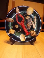Assiette coquillages écreviss d'occasion  Ciry-le-Noble