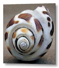 Seashells large pastel for sale  High Point