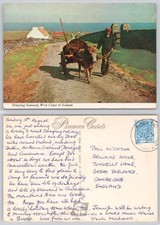 C34069 donkey cart for sale  LONDON