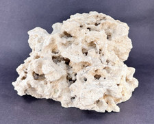 Natural white dry for sale  Avon Park
