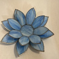 Rare blue lotus for sale  Cumming