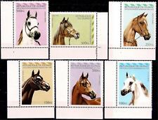 Guinea 1995 cavalli usato  Italia