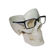Suck tidy skull for sale  Virginia Beach