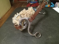English hackamore for sale  Taylor
