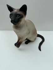 Winstanley siamese cat for sale  BRAINTREE