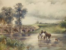 Farm boy welsh for sale  TYWYN