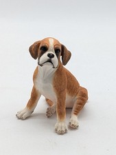 Boxer pup dog for sale  Casa Grande