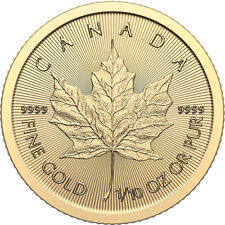 Canada gold maple for sale  Dallas