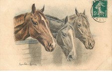 Vienne 341 chevaux d'occasion  France