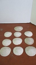 Lot larger sand for sale  Olympia