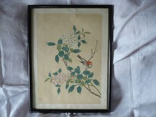 Aquarelle oiseau rameau d'occasion  Paris IX