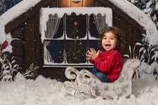 Wooden sleigh photography for sale  HEMEL HEMPSTEAD