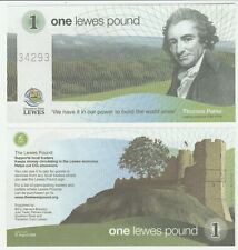 Lewes pound 2008 d'occasion  Expédié en Belgium