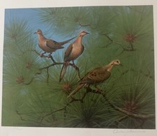 Mourning doves 1982 for sale  Lilburn