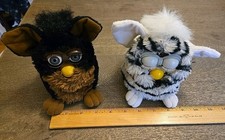 Original vintage tiger for sale  Hammond